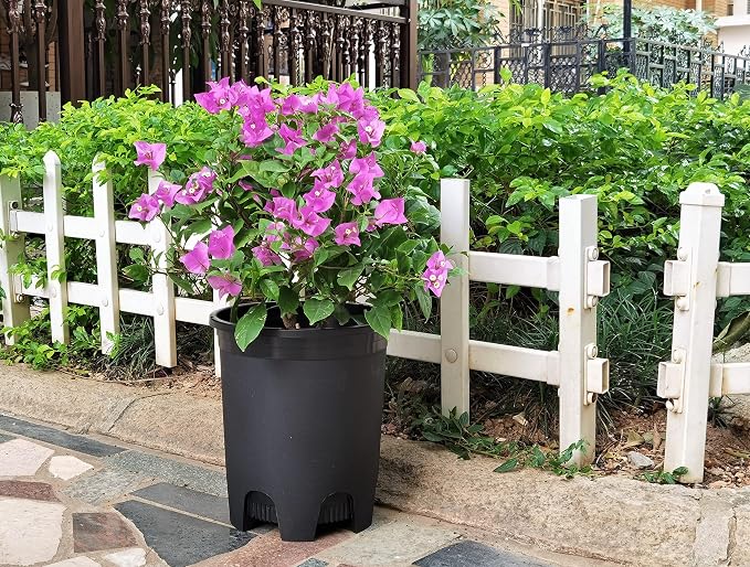 5 Gallon 6-Pack Large Plant Pots Nursery Tree Pot Plastic Planters - Image 6