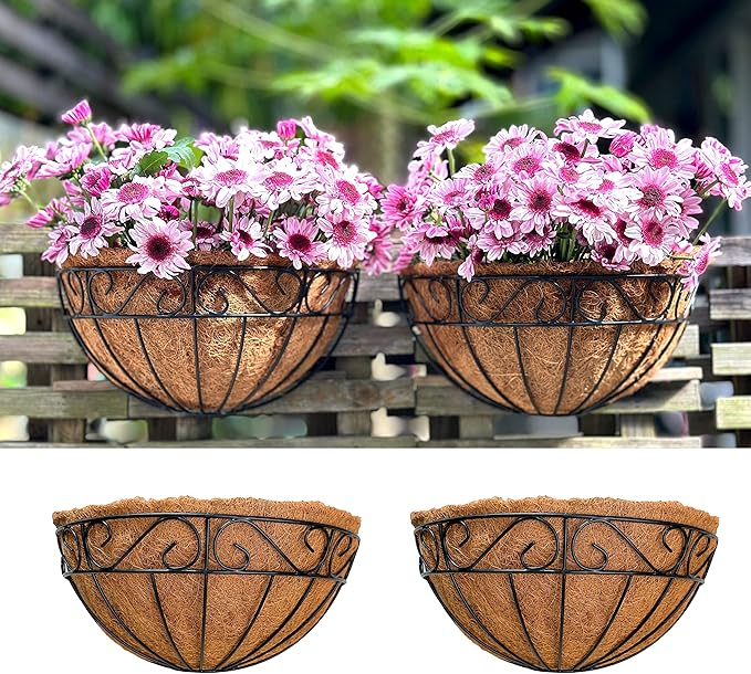 LaLaGreen 16 Inch Wall Hanging Planters by L%C3%A1L%C3%A1Green