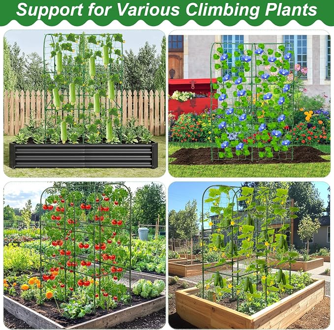 Cucumber Trellis for Raised Bed 50 x 34 Inch U-Shape Garden Trellis for - Image 5
