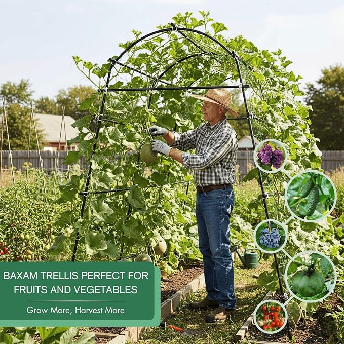 7ft Garden Arch Trellis for Climbing Plants Outdoor-Heavy Duty Metal Cucumber - Image 2