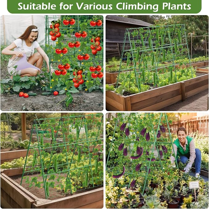 Cucumber Trellis for Raised Beds, 45 x 53 Inch Adjustable Size A-Frame Garden - Image 7