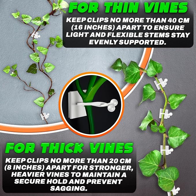 100Pcs Clear Plant Clips for Climbing Plants Indoor - Image 4