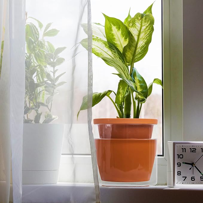 D'vine Dev 6 Inch Design Self Watering Pot - Image 7