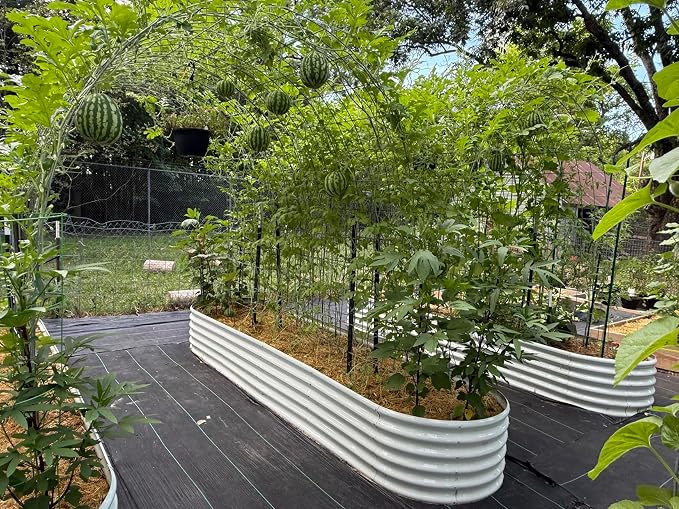 A ANLEOLIFE 3-Pack 12X3X1.5ft & 81x81x18 in Deep Root Galvanized Raised Garden - Image 4