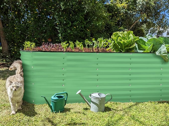 Plant & Plot Galvanized Raised Garden Beds Outdoor // 6×2×2 ft Planter Raised - Image 6