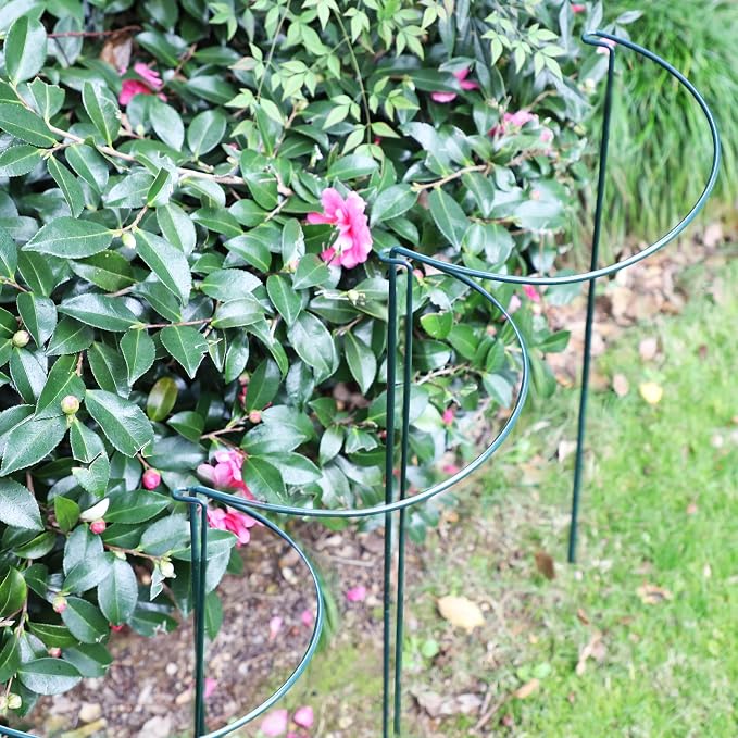 TCBWFY 10 Pack Plant Support Stakes - Image 7