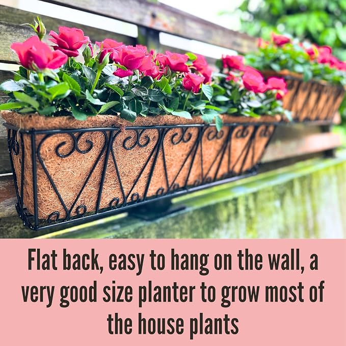 LaLaGreen Wall Planter - Image 6