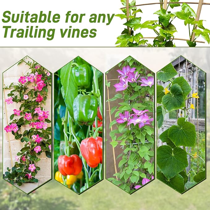 Avalution 10 Pack Bamboo Trellis - Image 5