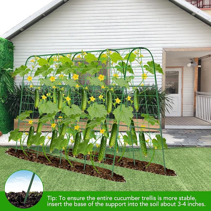Cucumber Trellis for Raised Bed, U-Shape Garden Trellis for Climbing Plants - Image 7