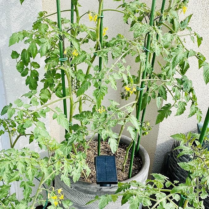 Garden Plant Stakes 36 Inch 3Ft Steel Plant Stick Support, 25 Pack Tomato Stakes - Image 2