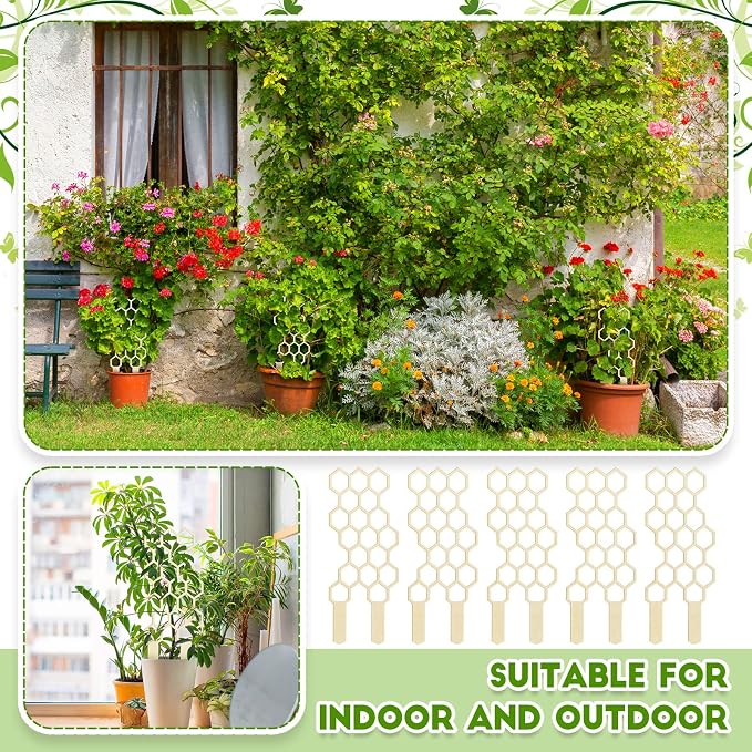 Nuenen 5 Pack Indoor Plant Trellis - Image 7