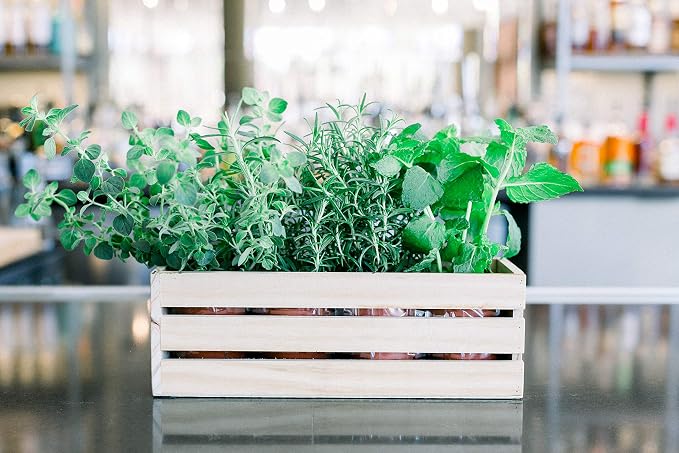 Wood Planter Box with Wine Crate Styled, 12x4 Inch Rectangular, Rose Wood - Image 8