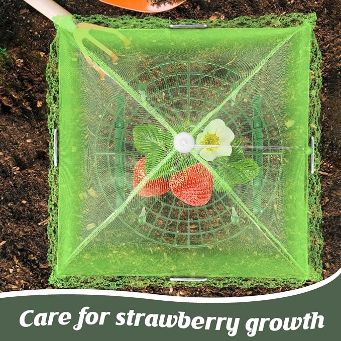 4 Sets Strawberry Plant Support - Image 5