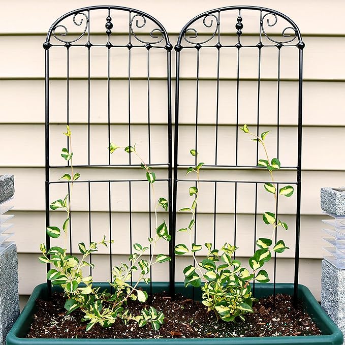 Sunnydaze 32-Inch Traditional Decorative Outdoor Trellis - Image 4