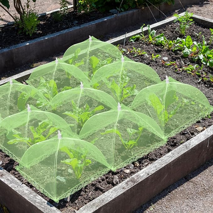 4 Sets Strawberry Plant Support - Image 7