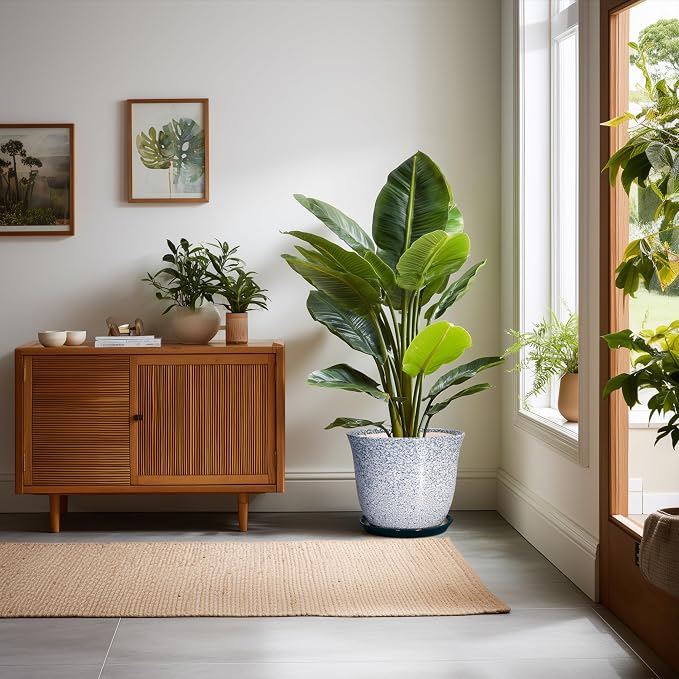 Ceramic Planter - Image 3