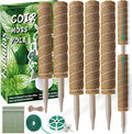 Moss Pole 58.7 Inch by Fabulas