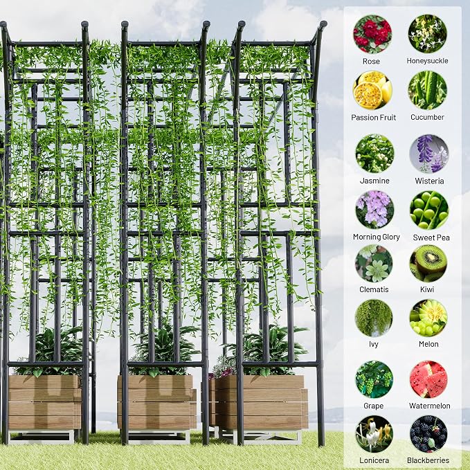 Flat Top Garden Arch Trellis 11FT x 9FT, Super Large Arbor Trellis - Image 5