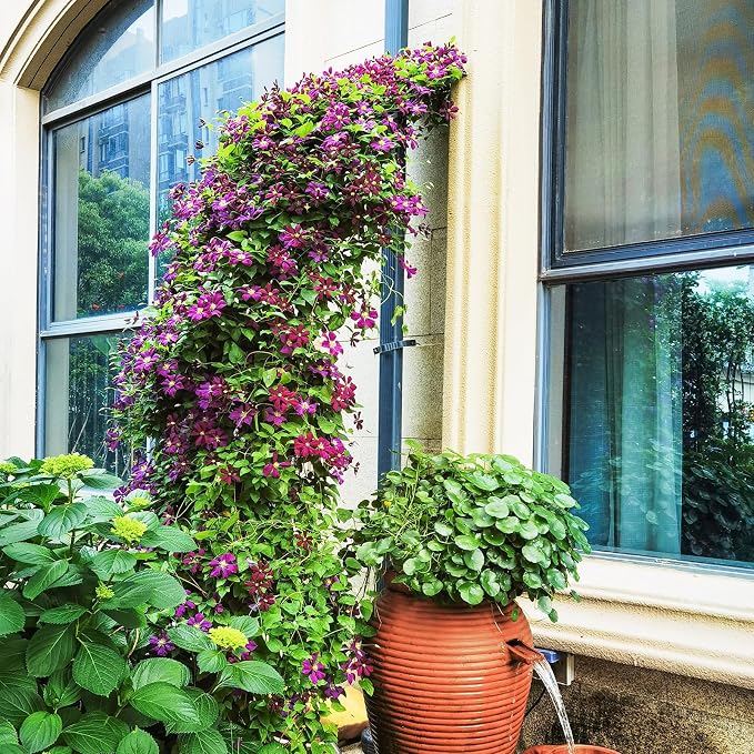 IRONMAX Garden Arch, Heavy Duty Galvanized Steel Arbor w/ 7 Sizes & Metal - Image 3