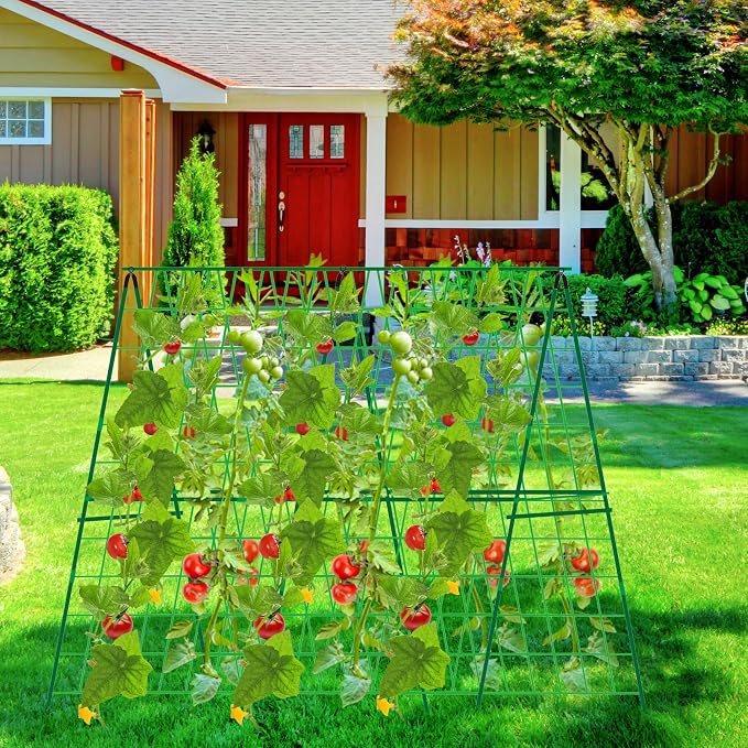 48 x 48 Inch Foldable Cucumber Trellis - Image 7