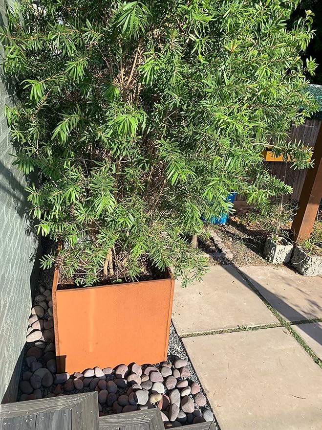 Corten Steel Planter Box Metal Square Planters 26 Inch Steel Large Outdoor - Image 7