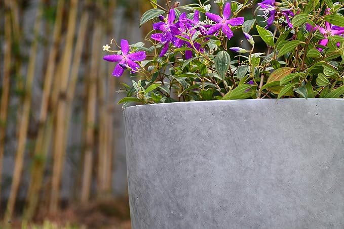 Kante 18 Inch Dia Round Concrete Planter, Indoor Outdoor Large Plant Pot - Image 13