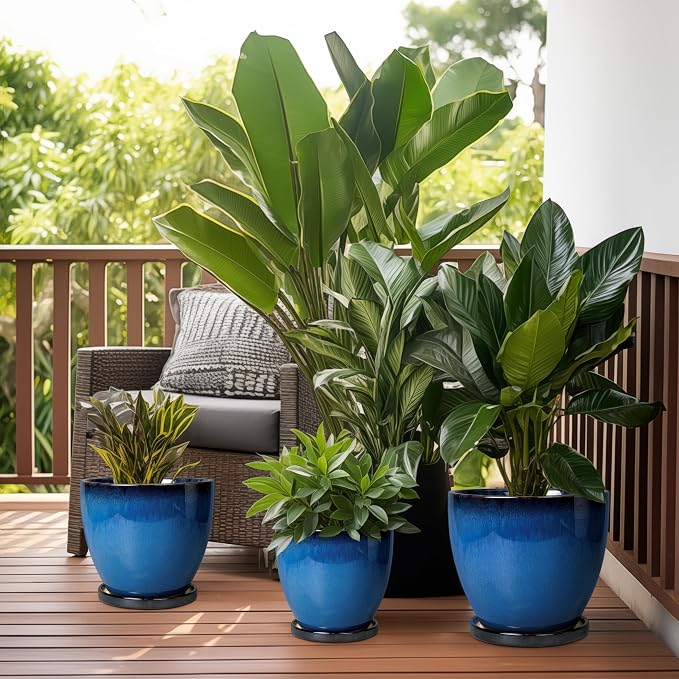8 Inch Planter - Ceramic Plant Pot - Image 7