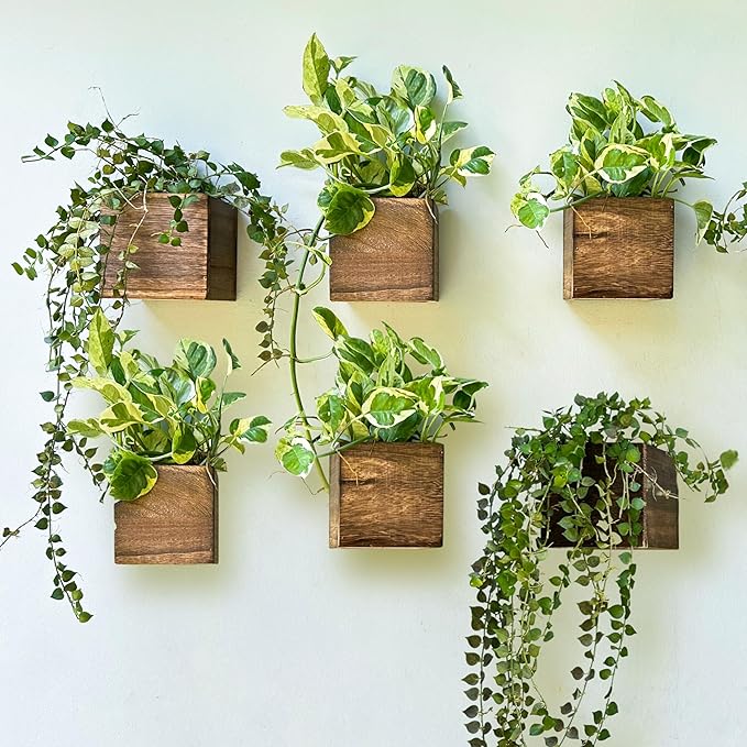 LaLaGreen Wood Planter Boxes for Indoor Plants Small Square Wall Mounted by L%C3%A1L%C3%A1Green