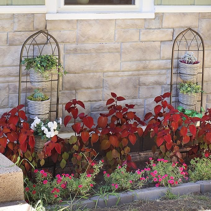 Sunnydaze Steel 2-Piece Arched Garden Trellis - Image 5