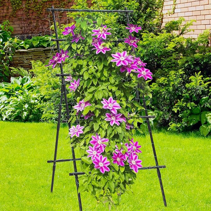 Garden Trellis for Climbing Plants, 6ft Cucumber Trellis for Raised Bed - Image 6