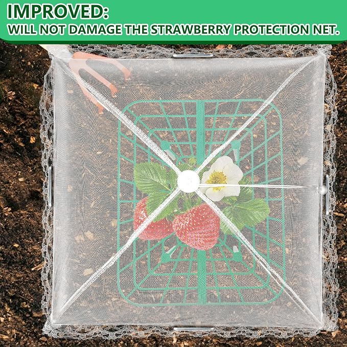4 Sets Strawberry Plant Supports - Image 4