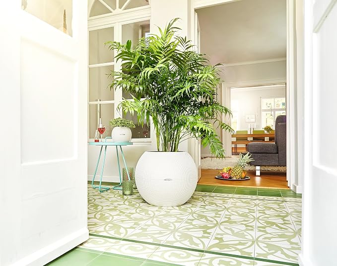Lechuza Puro Color 50 White, Self-Watering Large Round Planter, D19.7 H15.4 in - Image 6