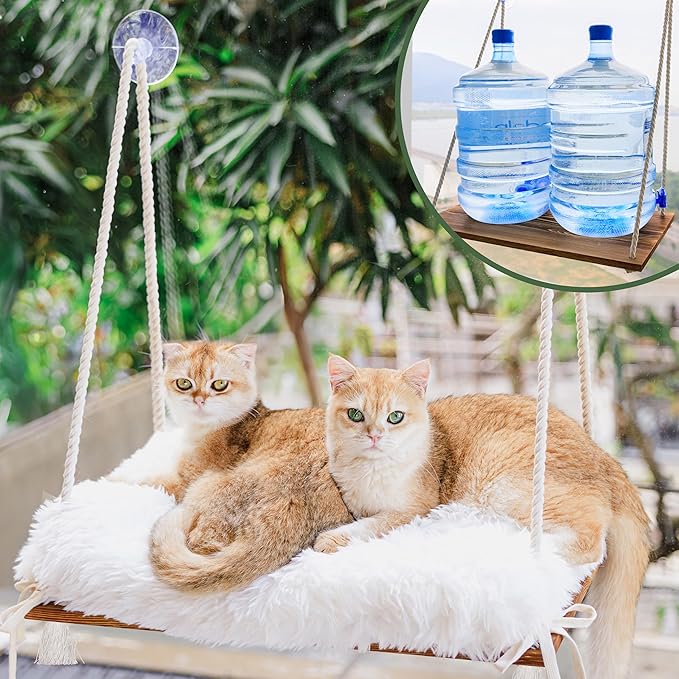 Large Cat Window Perch with Industrial-Grade Suction Cups by Unknown