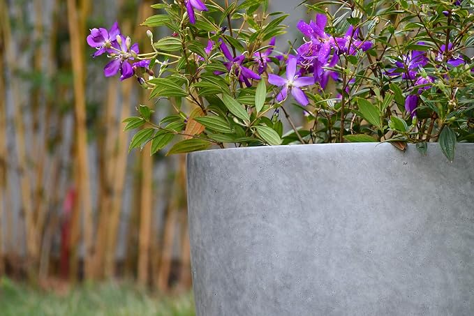 Kante 18 Inch Dia Round Concrete Planter, Indoor Outdoor Large Plant Pot - Image 15
