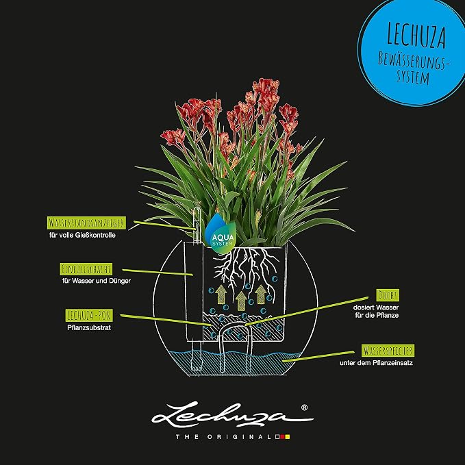 Lechuza Puro Color 20 Slate, Self-Watering Small Indoor Planter, D7.9 H6.3 in - Image 5