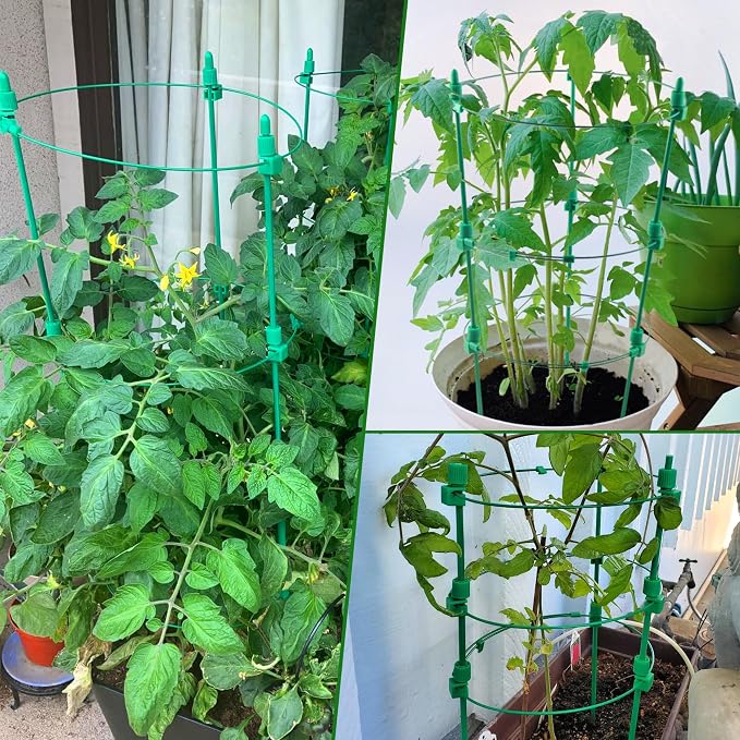 4 Pack Adjustable Tomato Cages, 36 Inch Plant Support Garden Trellis - Image 6