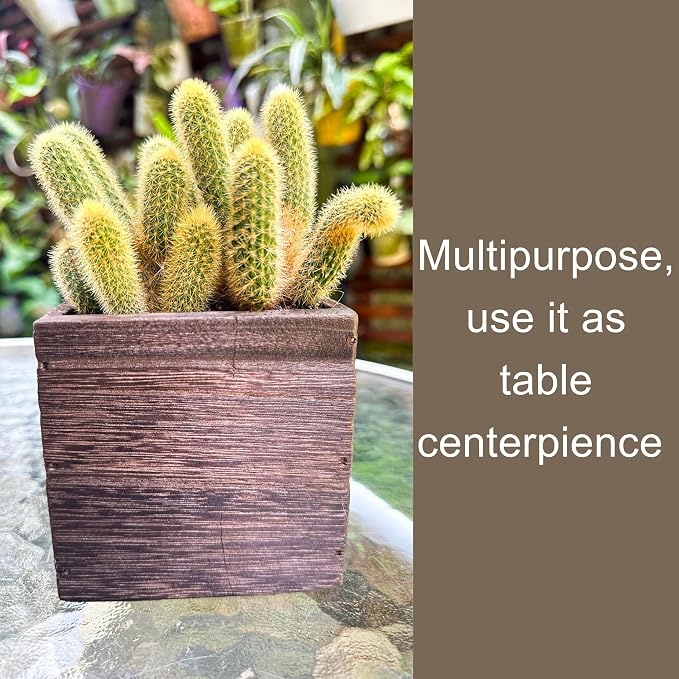 LaLaGreen Wood Planter Boxes for Indoor Plants Small Square Wall Mounted - Image 6