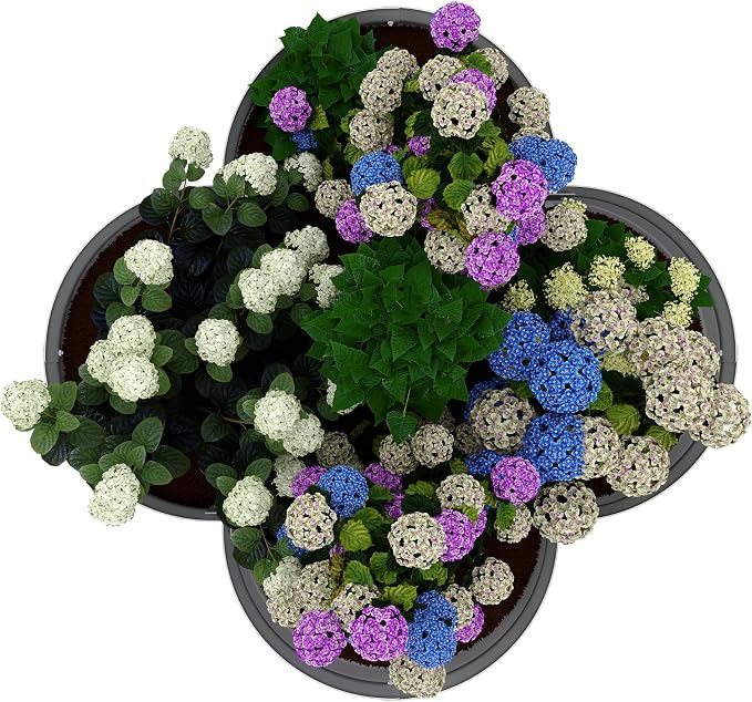 2-Pack Galvanized Raised Garden Bed, Veggies & Flowers. Rust-Resistant Raised - Image 8
