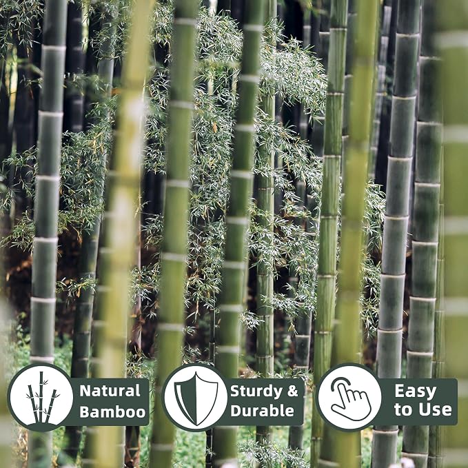 50Pcs / 3ft Bamboo Plant Stakes - Image 2