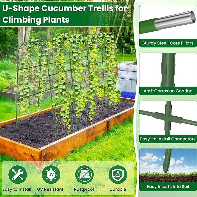 Cucumber Trellis for Raised Bed 64" L x 48" H, U-Shape Garden Trellis for - Image 3