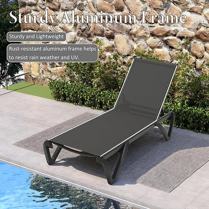Domi Pool Lounge Chairs Set of 2 - Image 3