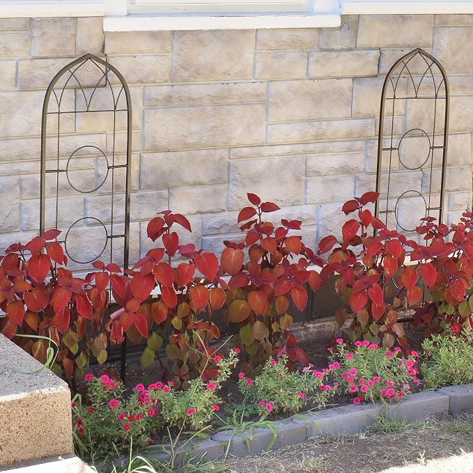 Sunnydaze Steel 2-Piece Arched Garden Trellis - Image 4