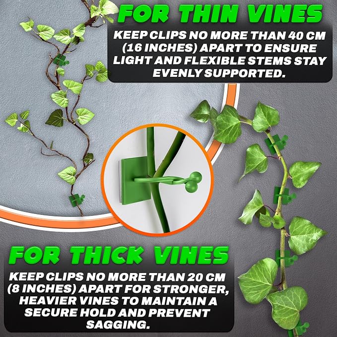 Plant Wall Clips for Climbing Plants 110 Pcs - Image 4