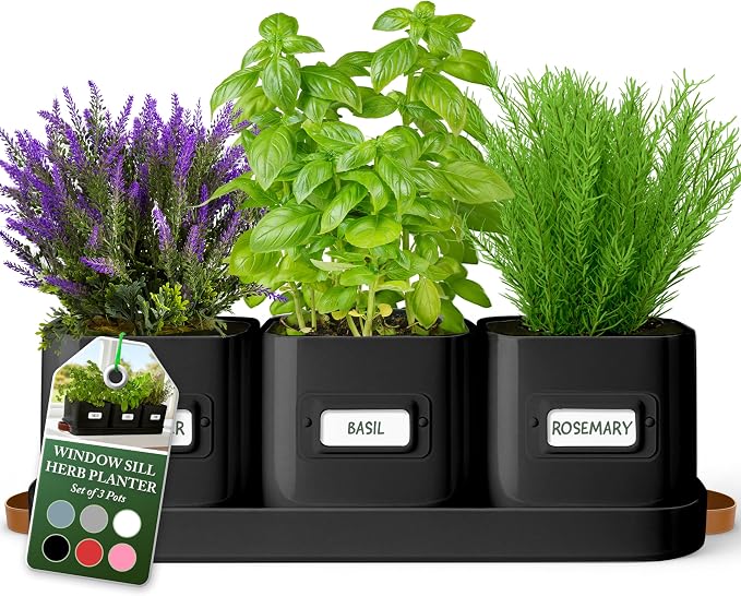volila Herb Planter Indoor by volila