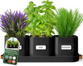 volila Herb Planter Indoor by volila