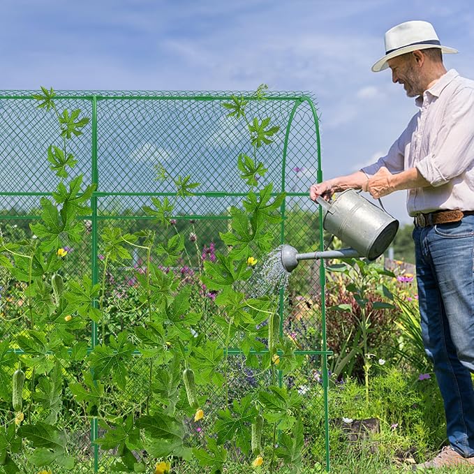 codree Cucumber Trellis for Raised Bed, 63 x 63 Inch U-Shape Garden Trellis for - Image 7