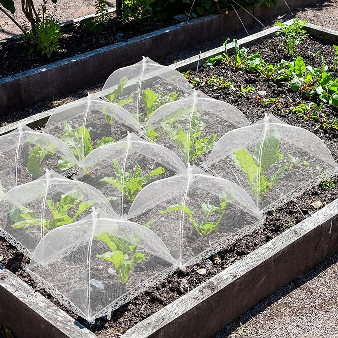 4 Sets Strawberry Plant Supports - Image 7