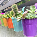 LaLaGreen Hanging Planters Outdoor -10 Pack, 6 Inch Colorful Large Metal Flower by L%C3%A1L%C3%A1Green