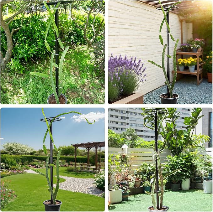 63" Metal Dragon Fruit Trellis – Durable Outdoor Garden Support - Image 7