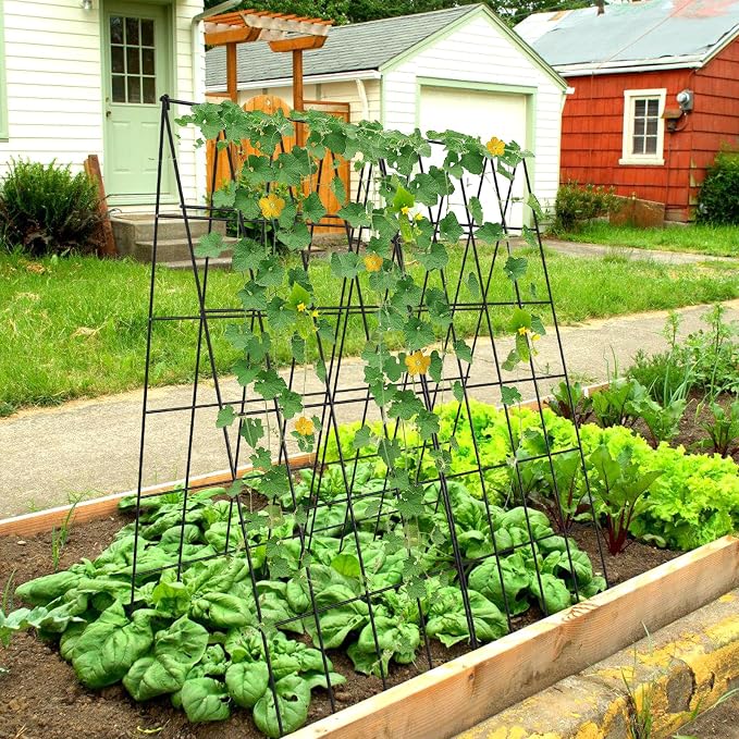 Cucumber Trellis 2 Pack, Foldable A-Frame Garden Trellis - Image 2